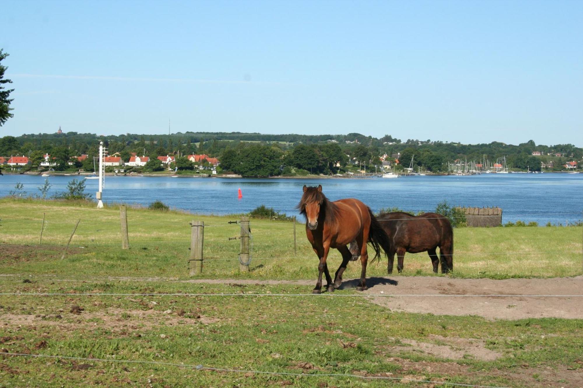 Grastenhus Guesthouse Thurø By 外观 照片